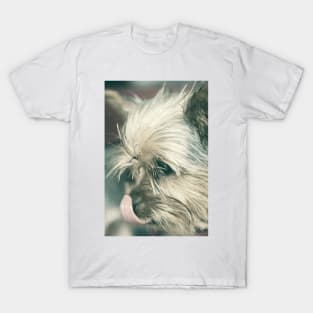 dog T-Shirt